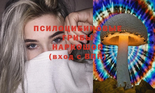 эйфоретик Вязники